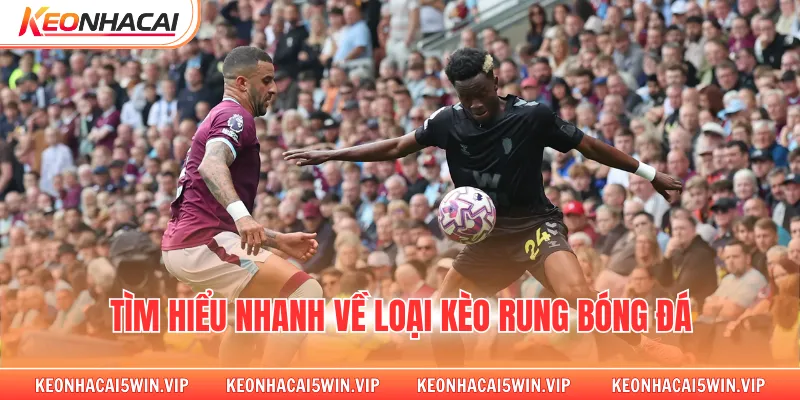 Tìm hiểu nhanh về loại kèo rung bóng đá