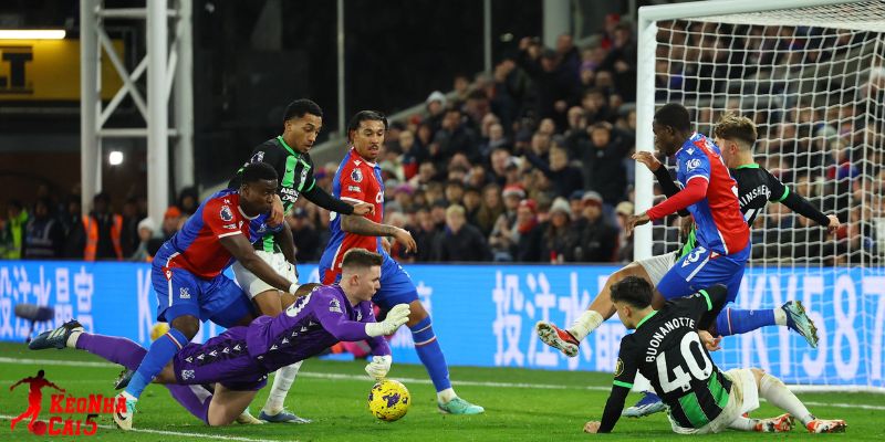Brighton vs Crystal Palace đã cầm hòa nhau Brighton vs Crystal Palace đã cầm hòa nhau