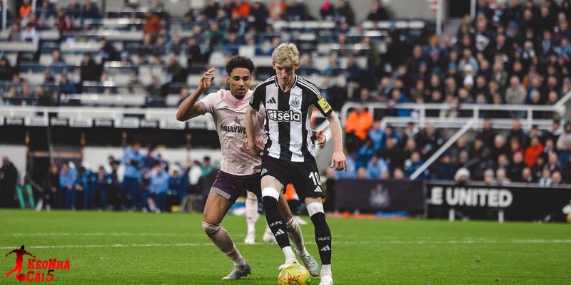 Newcastle vs Brentford đều đang nỗ lực cho mục tiêu riêng